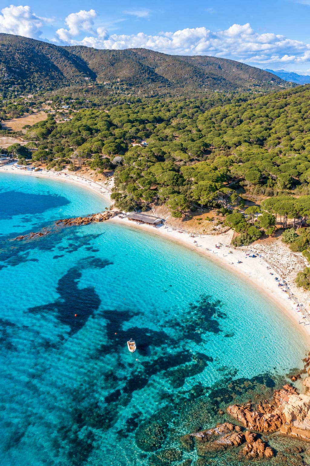 Der Strand von Palombaggia aus der Luft, türkisfarbenes Wasser und Kiefern