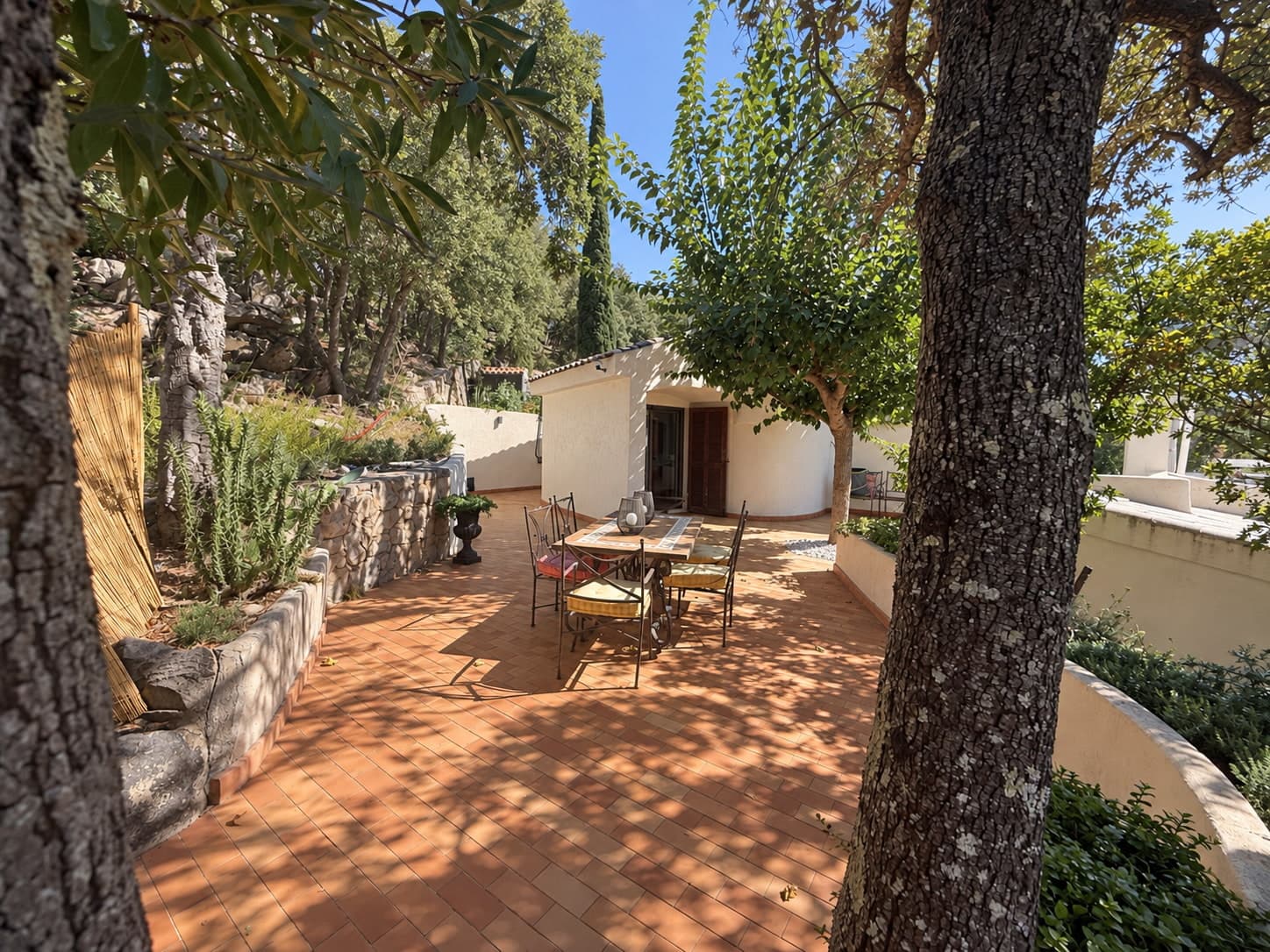 Il vialetto ombreggiato sotto gli ulivi, lo spazio yoga della villa